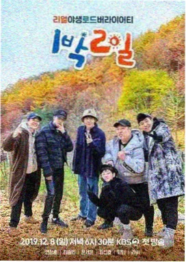 歌手2024 在线观看免费播放